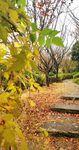 田园风光