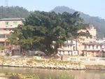 田园风光
