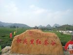 田园风光