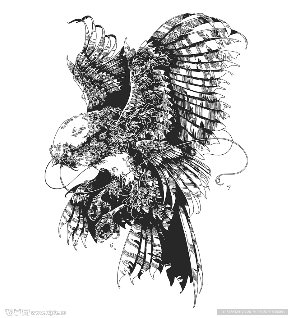 黑白画