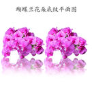 蝴蝶兰花朵底纹图片设计素材