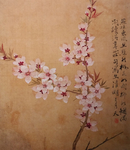 桃花图