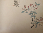 玉兰