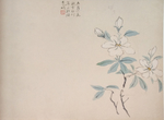栀子