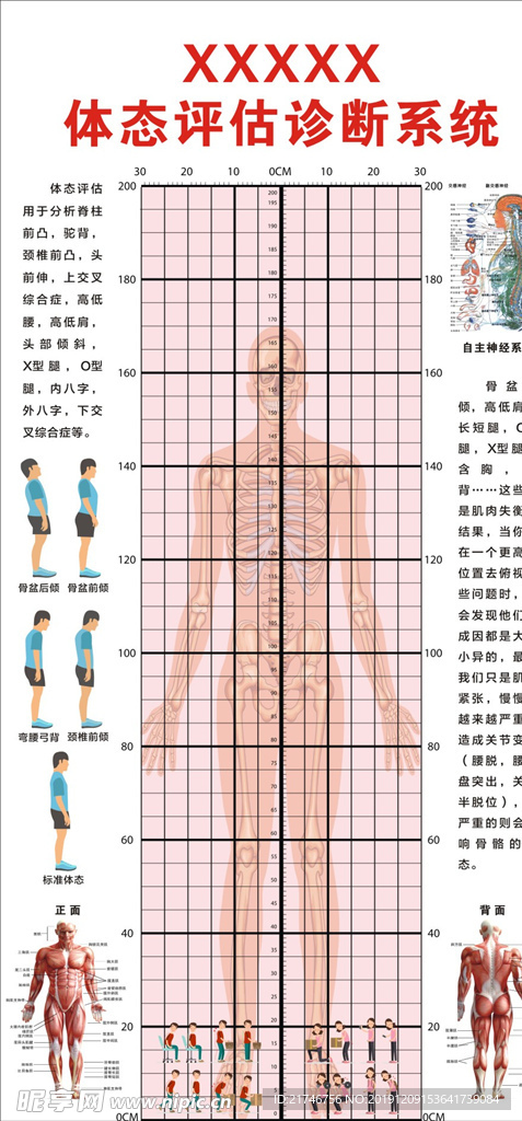 体态评估诊断系统