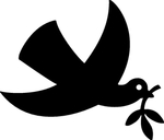 野生动物系 鸽子