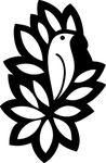 野生动物 鸟