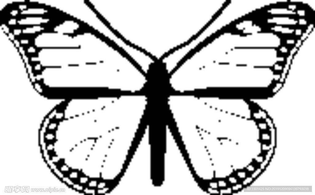 昆虫系列 蝴蝶