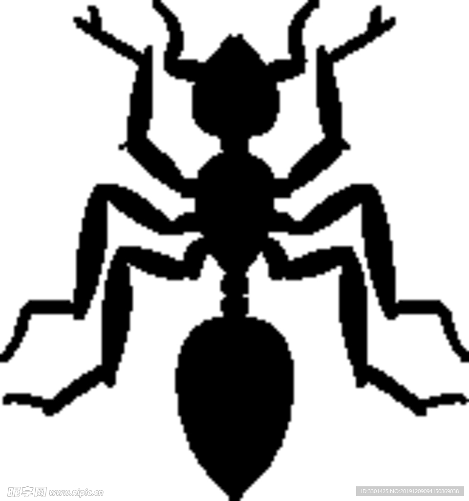 昆虫系列 蚂蚁