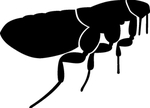 昆虫