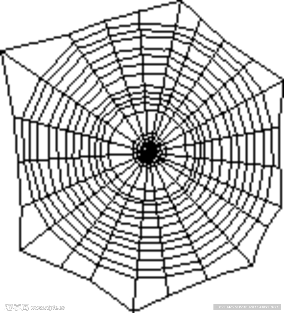 昆虫系列 蜘蛛网