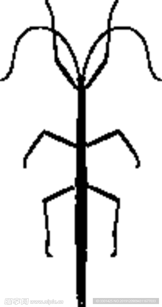 昆虫系列 竹节虫