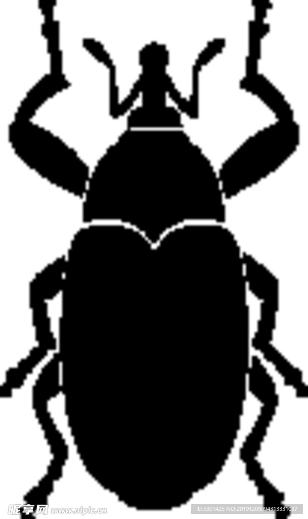 昆虫系列 甲虫
