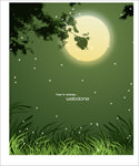 美丽的夜晚 月亮
