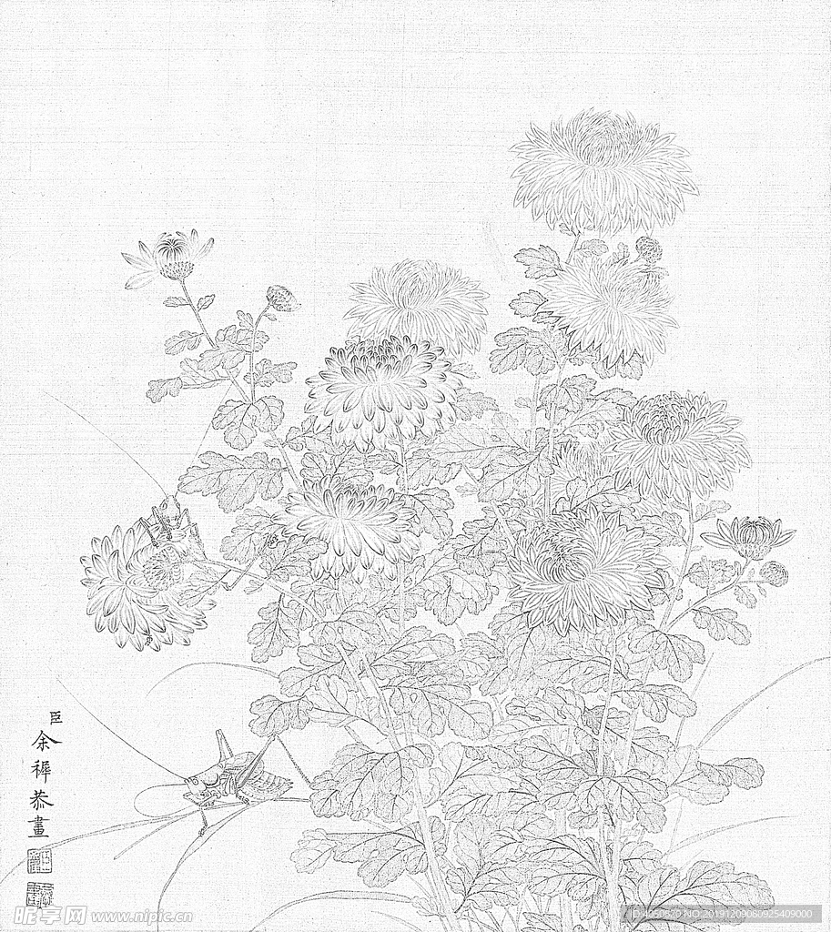 余稚的花鸟图白描工笔画底稿03