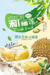 榴莲海报