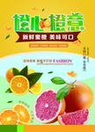 橙子海报
