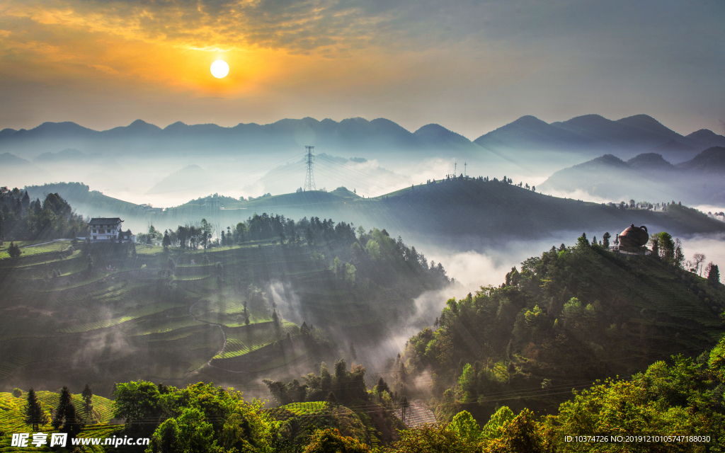 茶园茶山风光风景日出