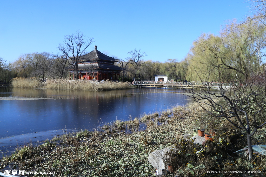 冬日园林风景