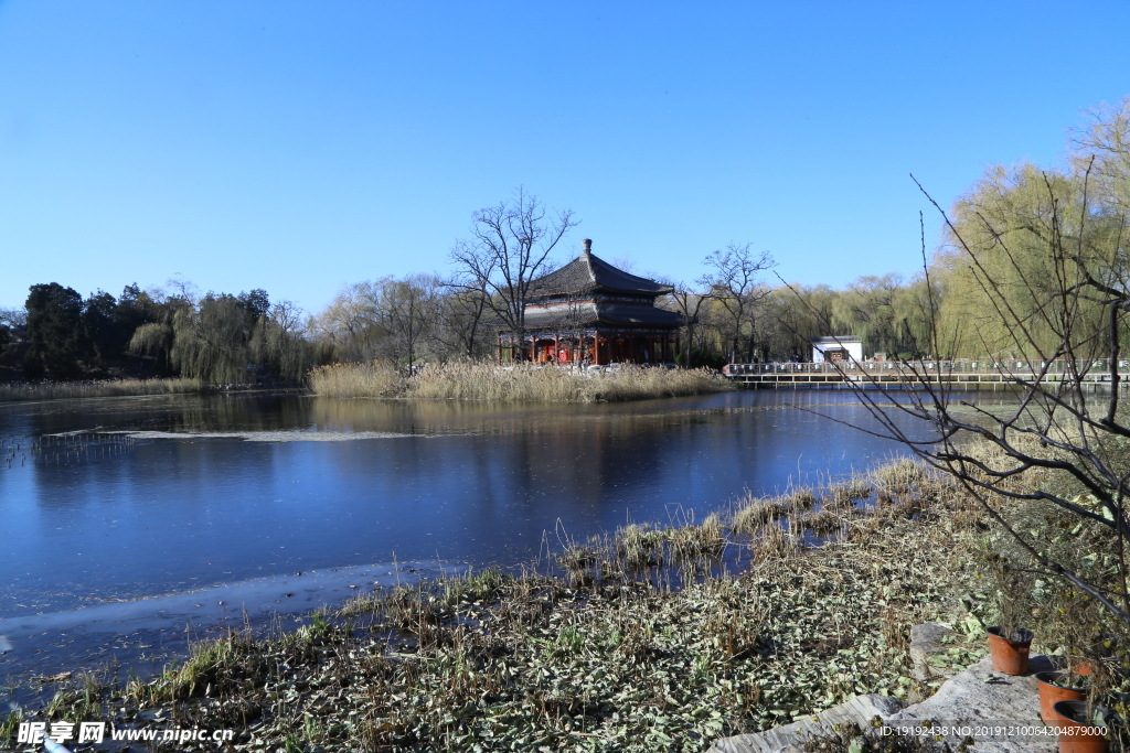 冬日风景