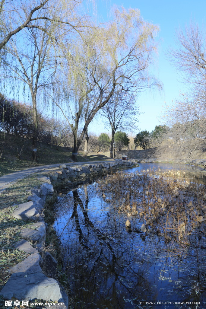 冬日风景