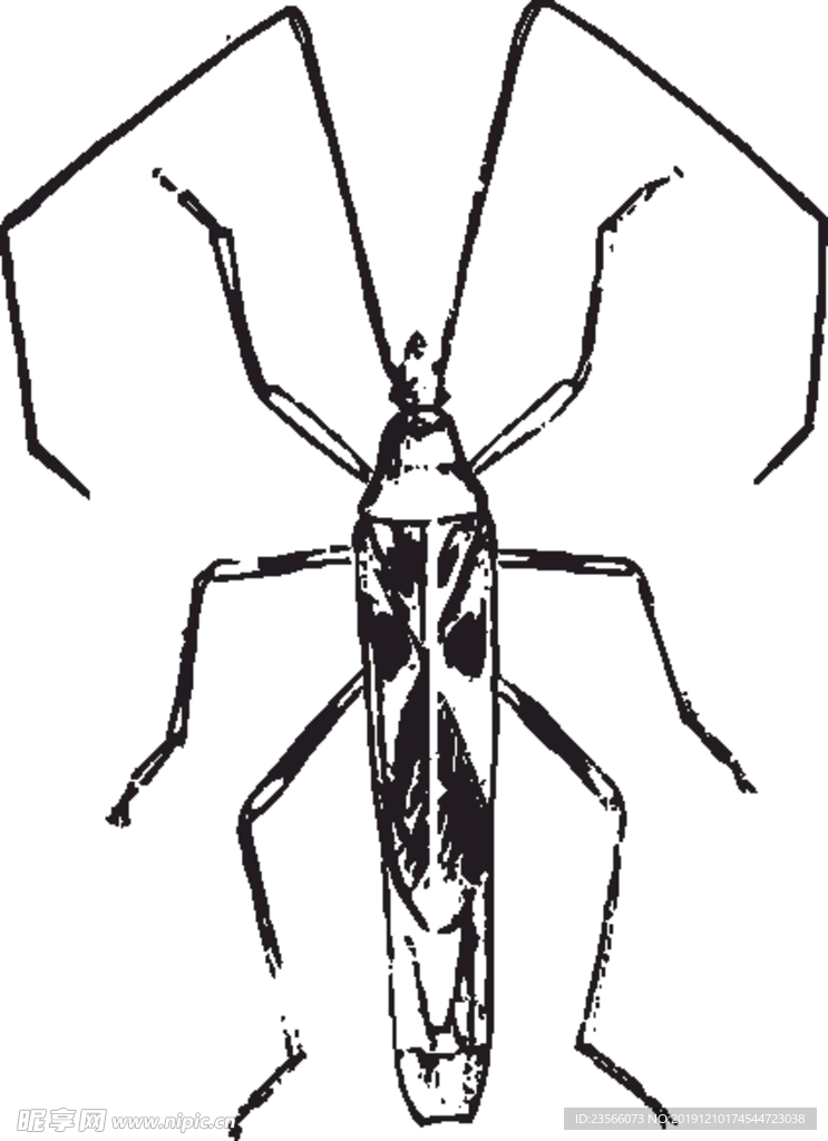 自然昆虫蝴蝶标本插画