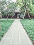 林间小道 林间路 杜甫草堂