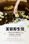 美容养生