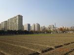 城市土地
