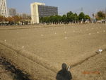 城市土地