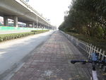 城市道路