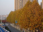 城市风景