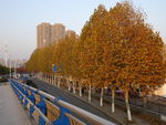 城市风景