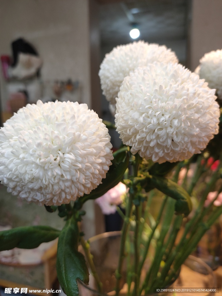 鲜花