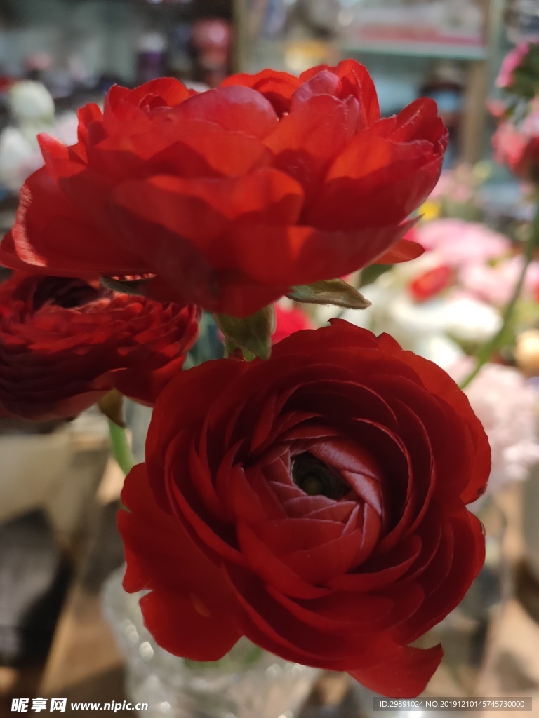 鲜花