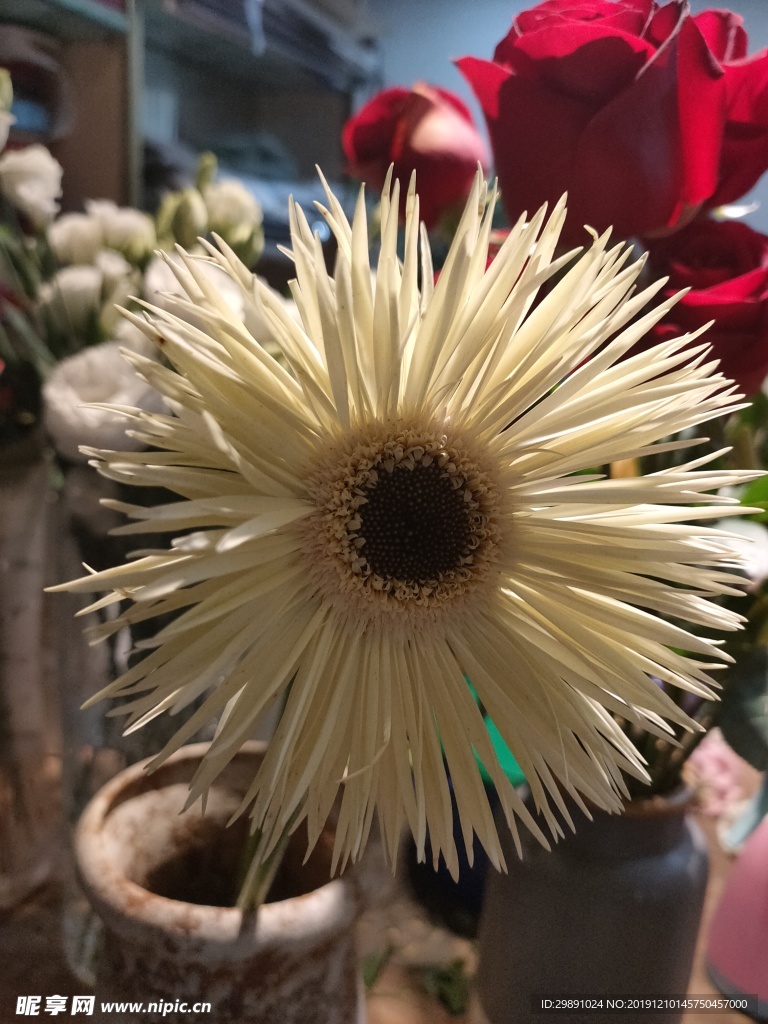 鲜花