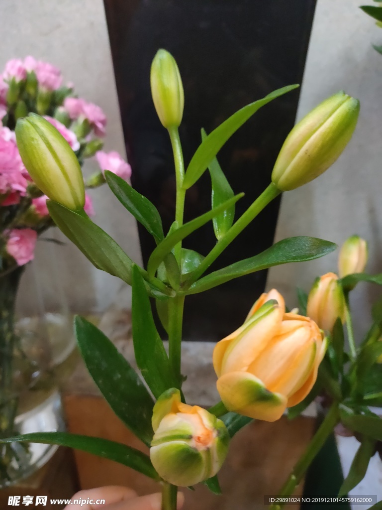 百合