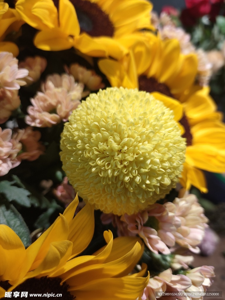 鲜花