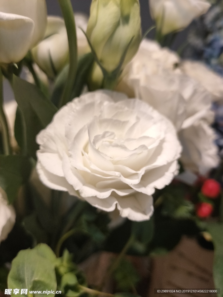 鲜花
