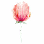 水彩花  花  抽象花 装饰画