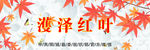 公众号