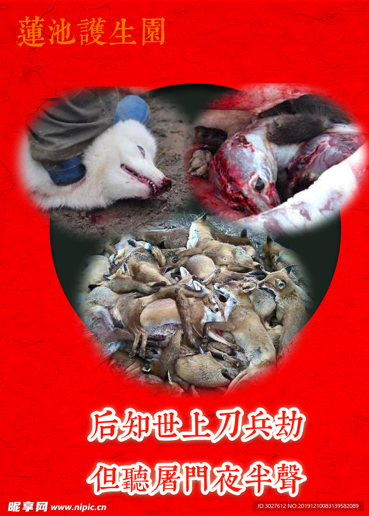 放生 护生 狐狸