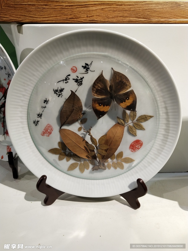 蝴蝶