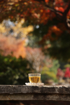 秋 茶