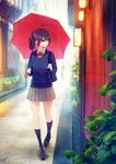 动漫二次元