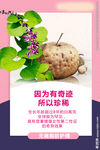 美容广告宣传活动物料