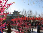 葫芦古镇  雪景   戏台