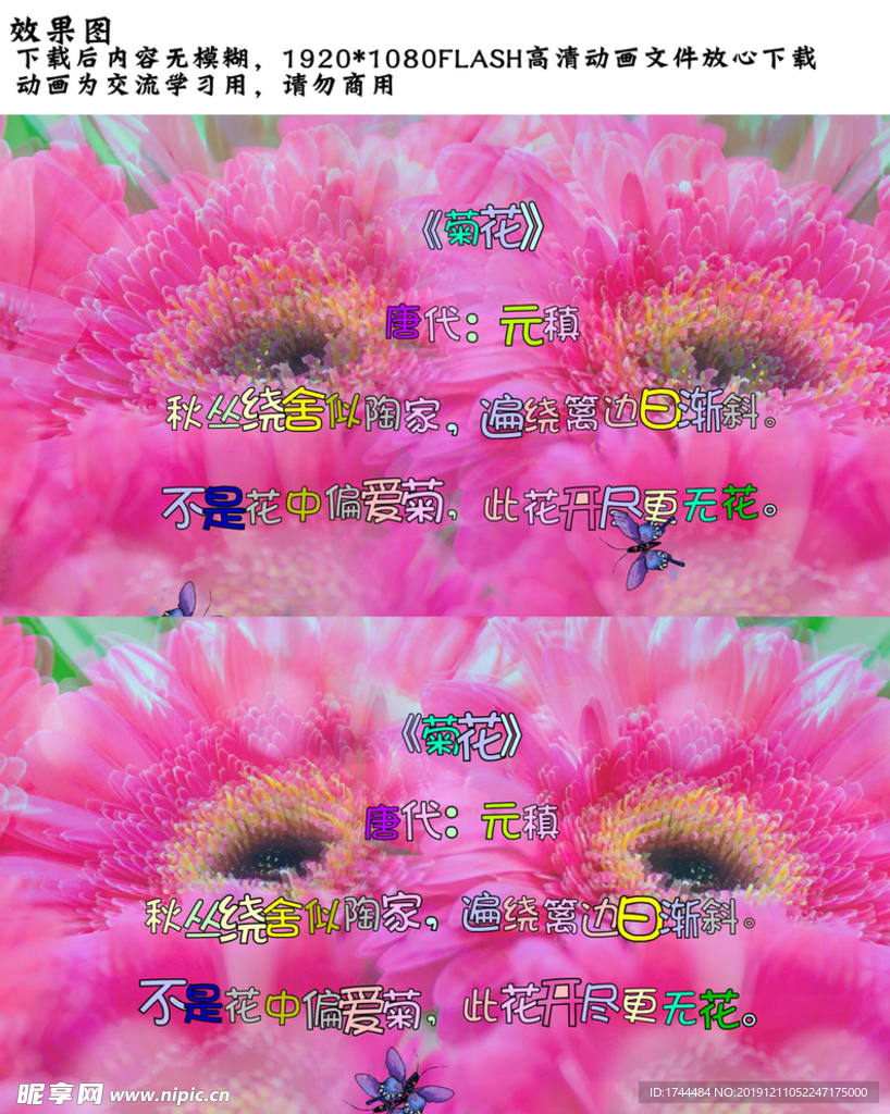 梦幻菊花诗高清FLASH视频