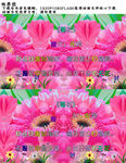特效菊花诗高清FLASH视频