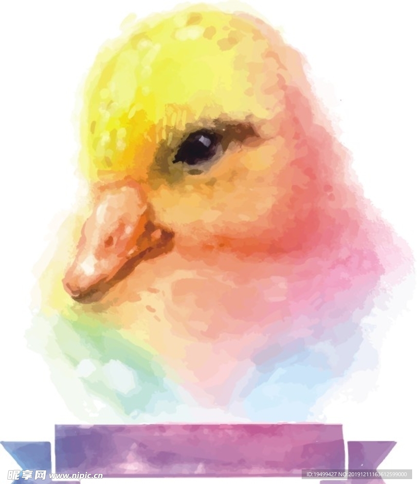 鸭子